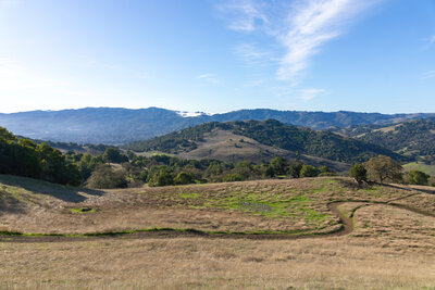Mount Burdell Open Space Preserve.