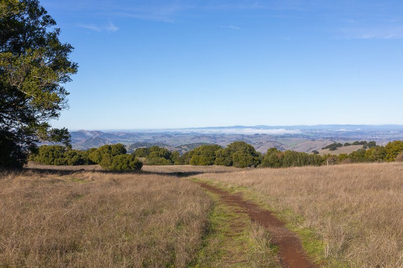 Looking east towards Sonoma.