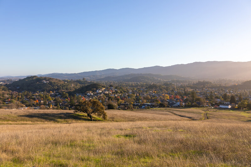 Northern Novato from Mount Burdell Open Space Preserve.
