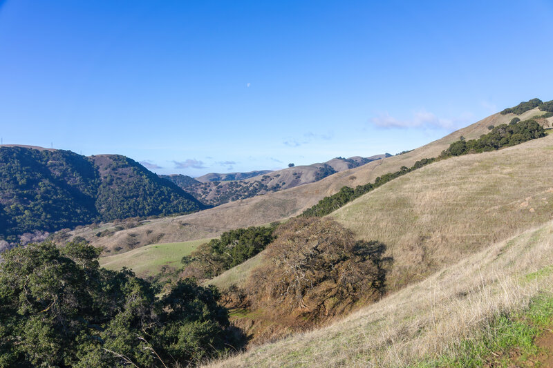 Ascent on Sunol Ridge Trail.