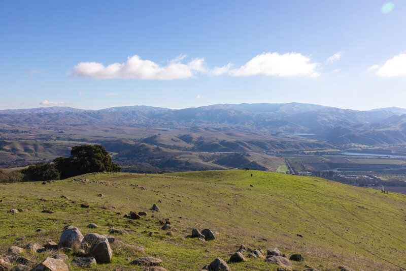 Sunol across the grassy hills of Sunol Ridge.