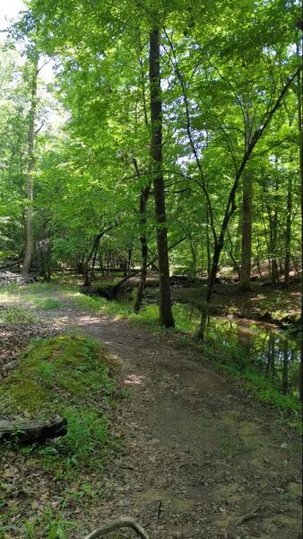 The creek, near the water crossing on the South part of Fall Mountain Trail.