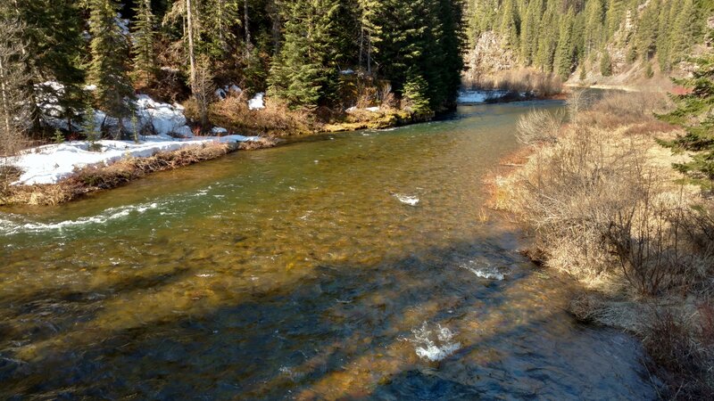 The Coeur d'Alene River looking downstream from the Forest Service Road #412 bridge at Jordan Camp.