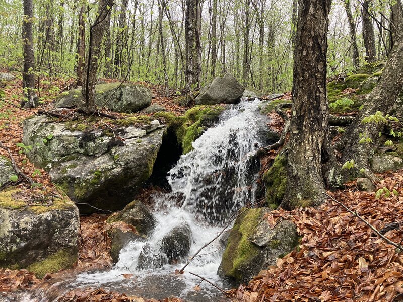 Upper Mill Brook Falls, off the Mount Meader Trail.