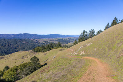 Tomales Bay in the distance from Barnabe Mountain