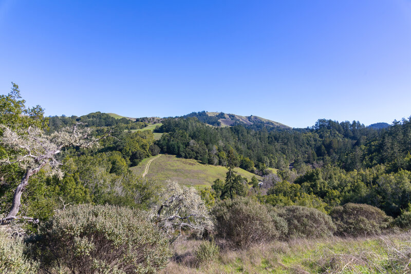 Barnabe Mountain from Jewell Trail.