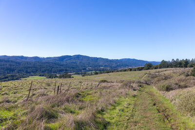 Bolinas Ridge
