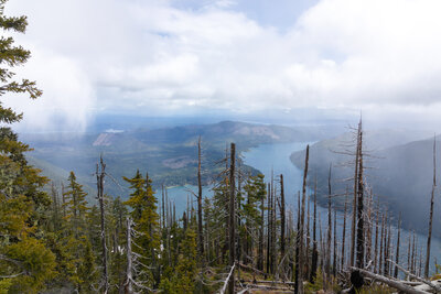 Lake Cushman from Mount Rose.