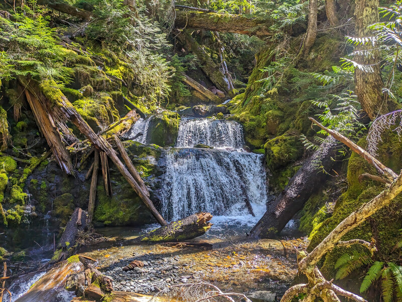 A small waterfall along Donahue Creek.