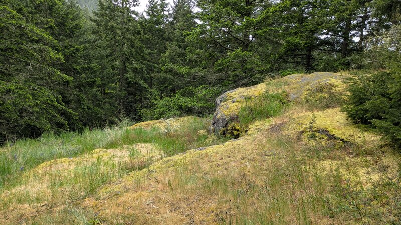 Half-way up Sugarloaf S Trail.