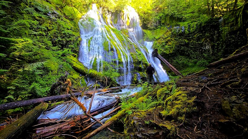 Panther Creek Falls