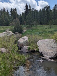 Exploring the creek along the trail.