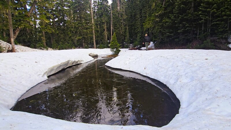 Damfino Lake 30 May 2025.