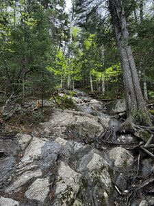 Steep section of the Bald Mountain Trail.