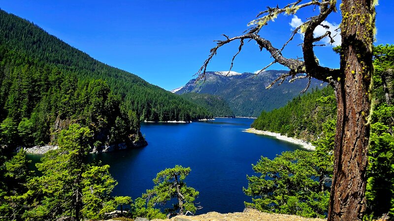 Looking out across Ruby Lake at the beach area near Hidden Hand Camp.