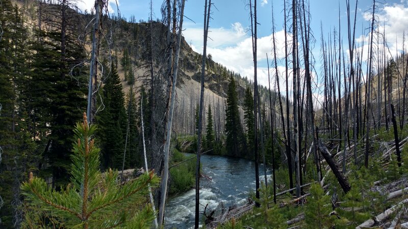 A rare relatively calm stretch of Marsh Creek in a pretty section of forest.
