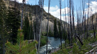 A rare relatively calm stretch of Marsh Creek in a pretty section of forest.