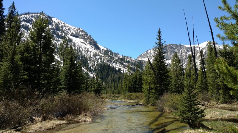 Iron Creek flows strong as it's full of May snow melt.