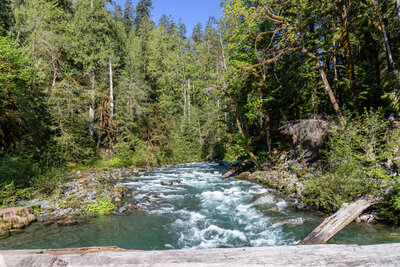 North Fork Skokomish River