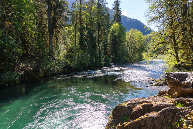 North Fork Skokomish River