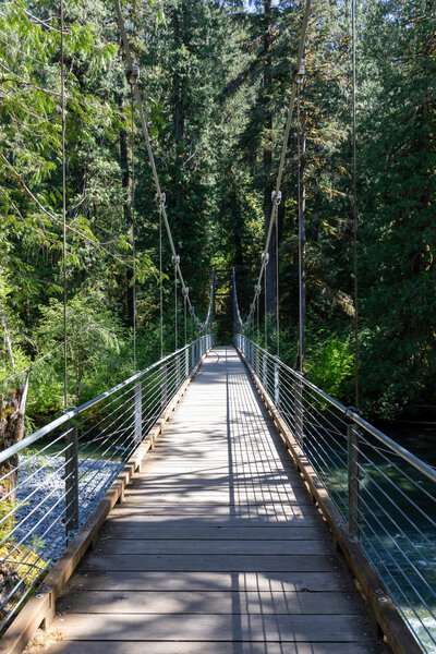 Bridge across the North Fork Skokomish River