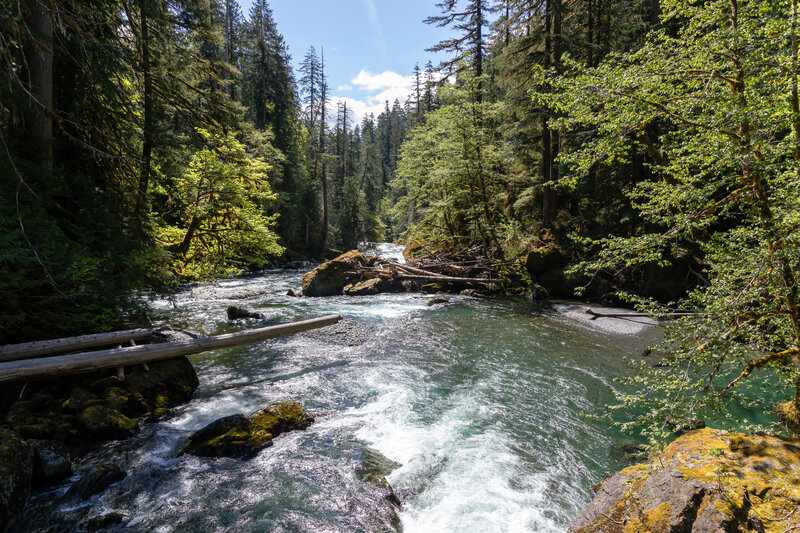 View from the bridge across the North Fork Skokomish River