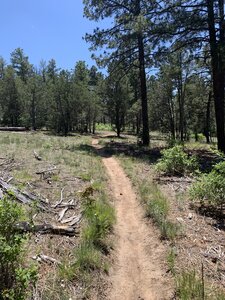 Nice trail though there were many bikes. Everyone was pleasantly sharing the trail.