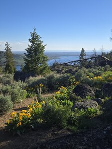Big views of Boulder Lake accented by wildflowers.