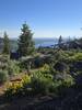 Big views of Boulder Lake accented by wildflowers.