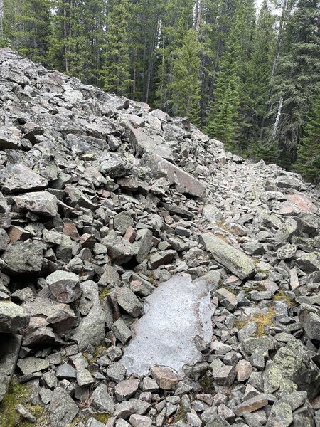 There are a lot of Boulder field/scree crossings.