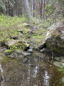 Water flow from the creek. The creek is very high at the moment.