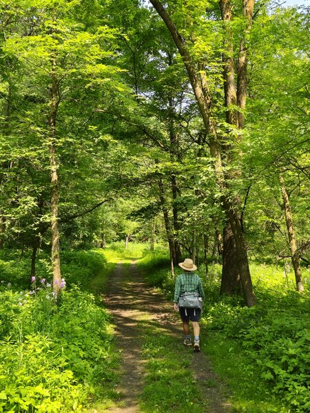 Along the Zumbro Trail.