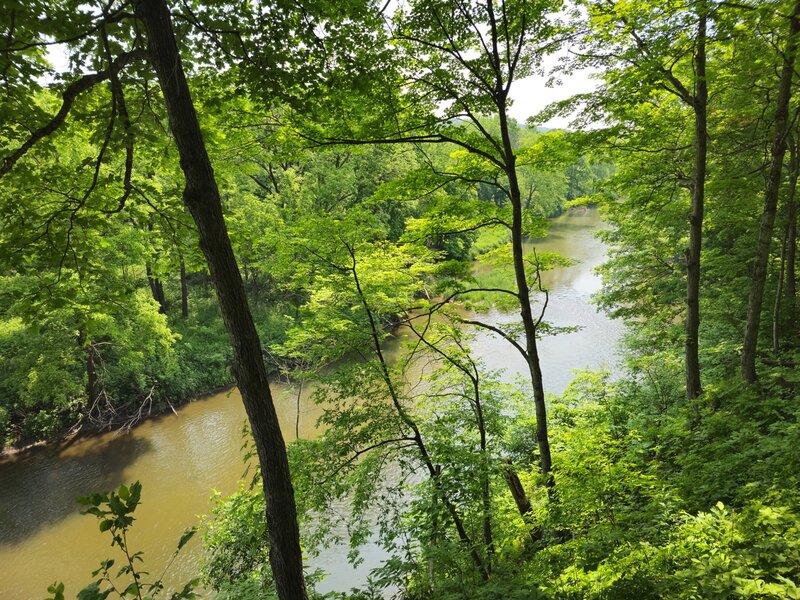 The river from the observation platform along the Zumbro Trail.