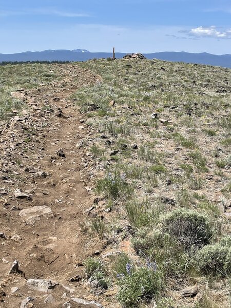 Pine Mountain summit viewed from east side.