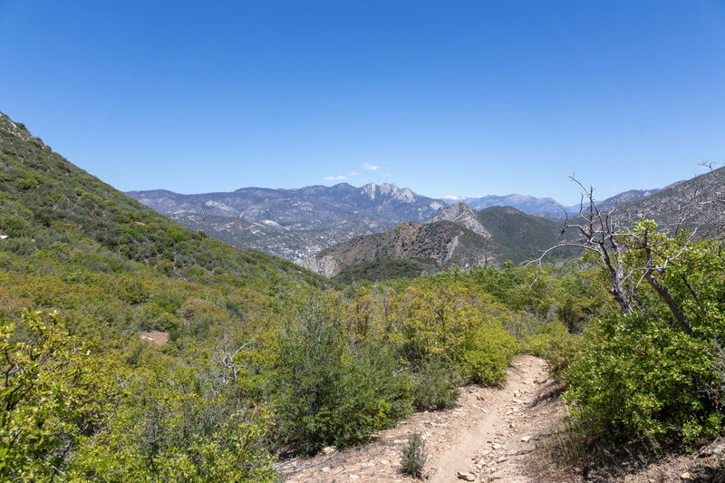 View from Rincon Trail.