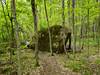 A giant glacial erratic along the trail.