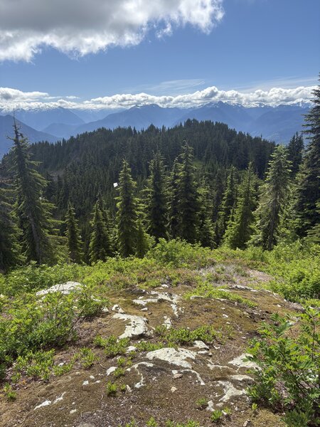 View from top of Cow Heaven.