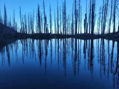 High lake near dusk. About 3/4 of a mile from the summit there is a trail to the right (heading up) take it for another 3/4 of a mile to high lake.  So many salamaders in there.