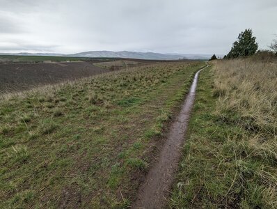 Singletrack on Whitetail trail near the upper parking lot.