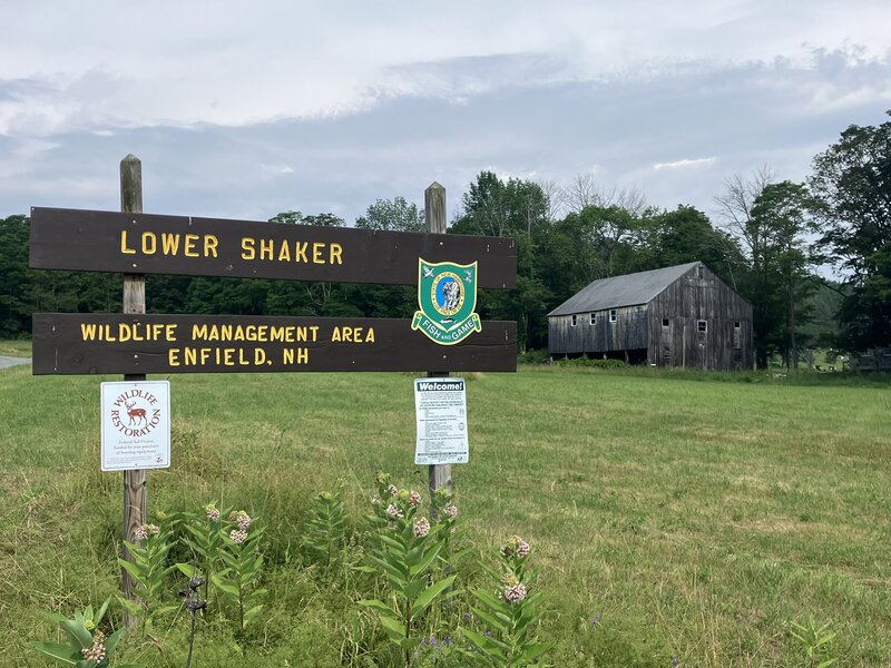 Lower Shaker Wildlife Management Area.