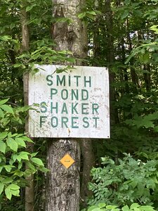 Smith Pond Shaker Forest.