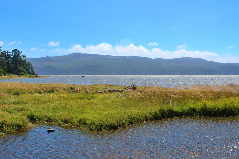 Tillamook Bay at the end of the trail.