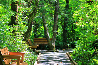 Boardwalk and benches