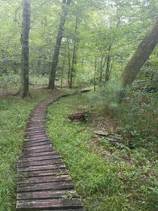 Raised paths in flood zones.