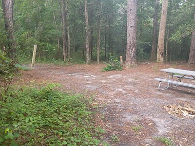 Hammock posts (4) off to the left.