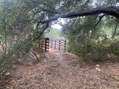 Singletrack on Juaneno Trail.