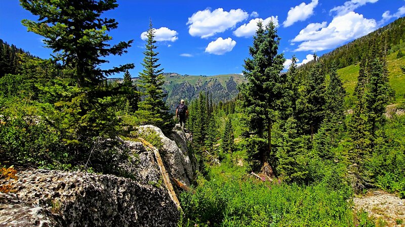 Darby Canyon