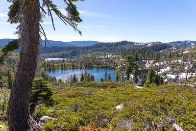A higher vantage point above Silver Lake.