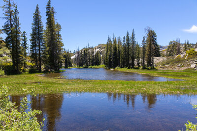 Meadow northeast of Long Lake.