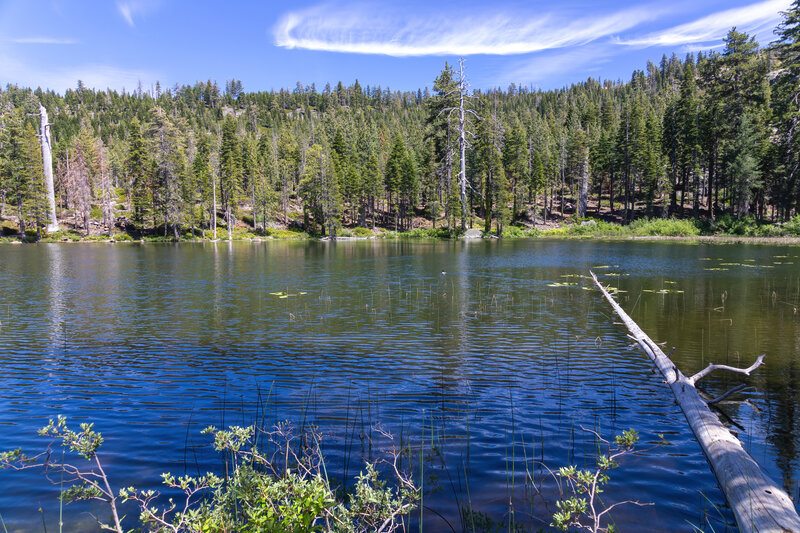 Lily Lake